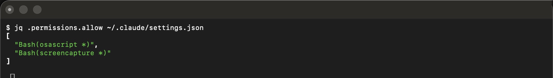 settings.json の許可設定